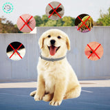 collier anti tique pour chien | Pucy™
