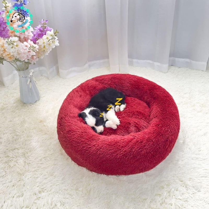 coussin-chien--rouge-doux