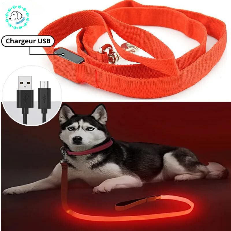 Laisse pour chien | Ledy™ - SaneDoggy