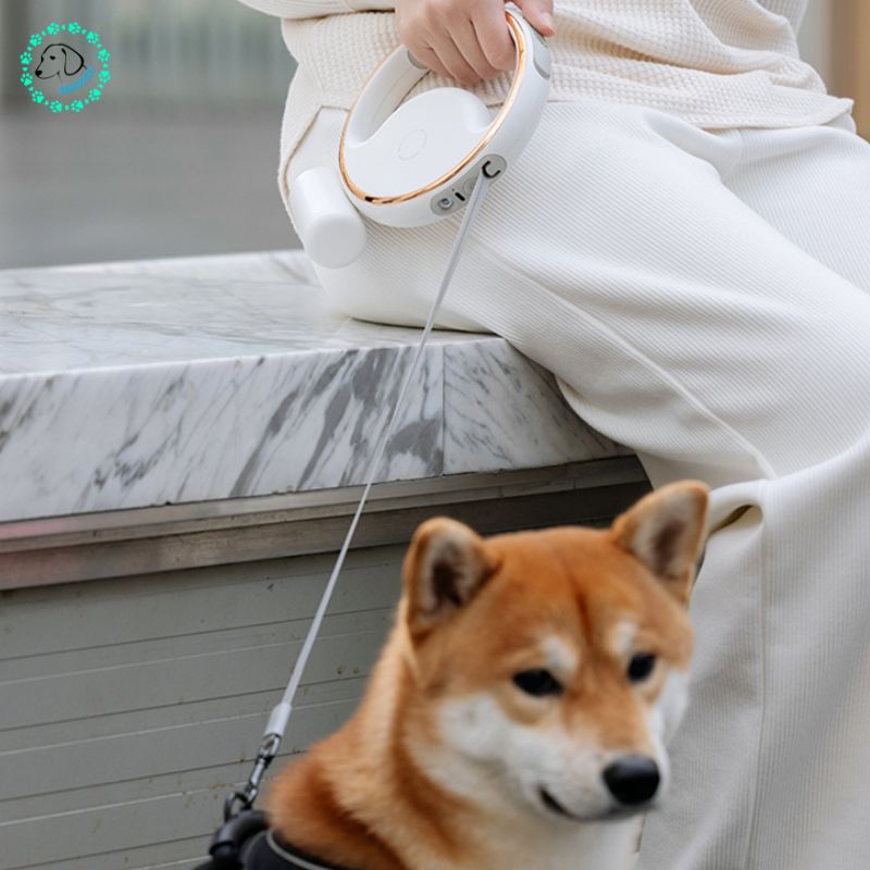 Laisse pour chien | Ring™ - SaneDoggy