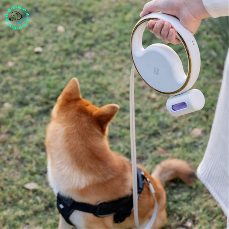 Laisse pour chien | Ring™ - SaneDoggy