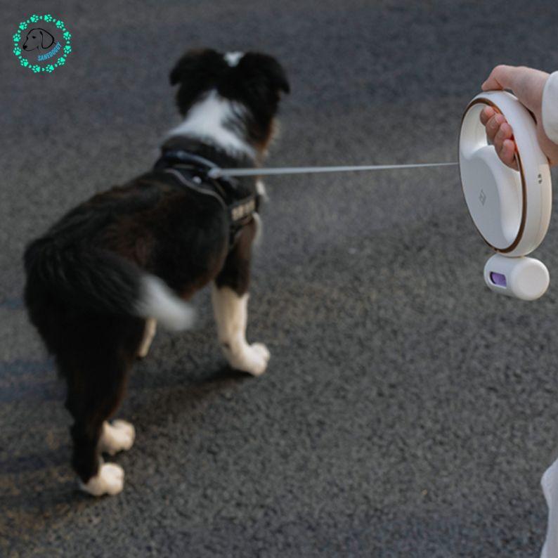 Laisse pour chien | Ring™ - SaneDoggy