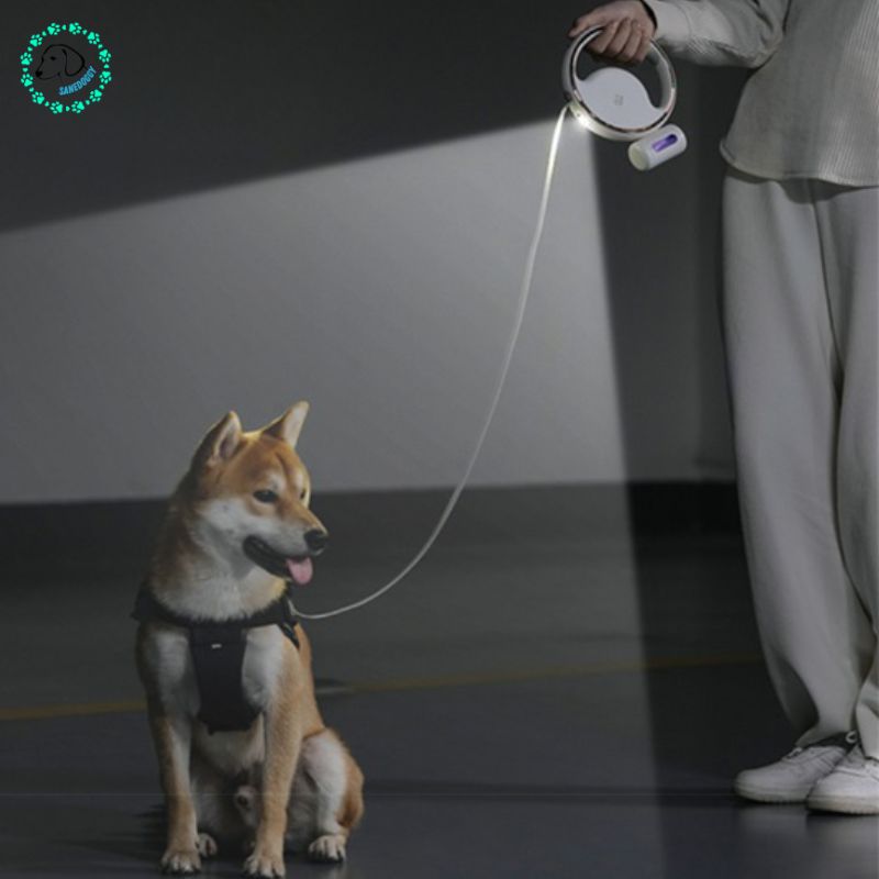 Laisse pour chien | Ring™ - SaneDoggy