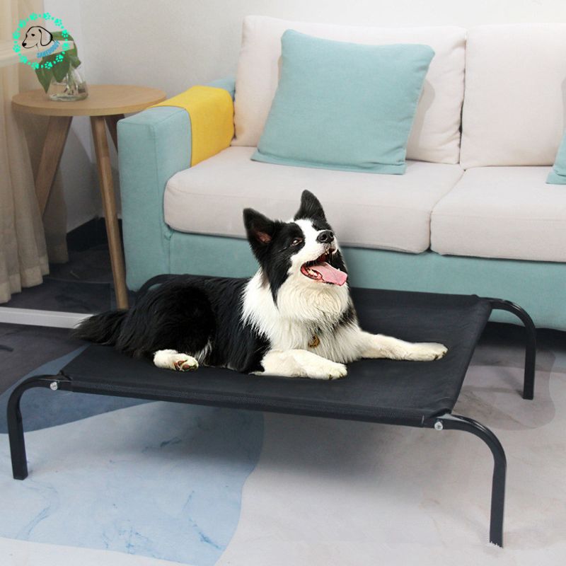 Lit pour chien | Bedy™ - SaneDoggy