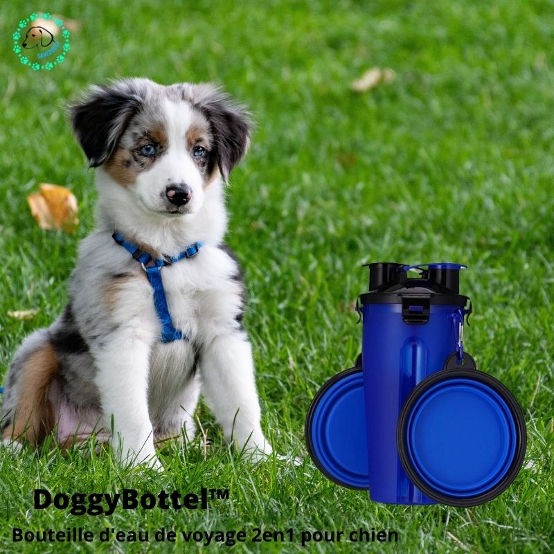DoggyBottel™ | Bouteille d'eau de voyage 2 en 1 pour chien. - SaneDoggy