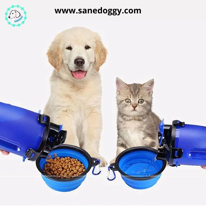 DoggyBottel™ | Bouteille d'eau de voyage 2 en 1 pour chien. - SaneDoggy