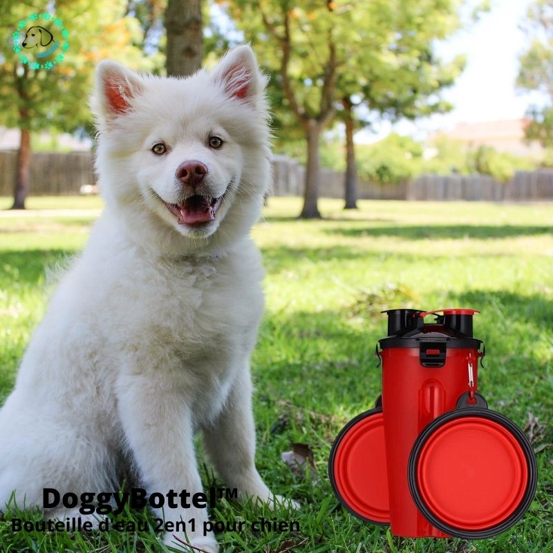 DoggyBottel™ | Bouteille d'eau de voyage 2 en 1 pour chien. - SaneDoggy
