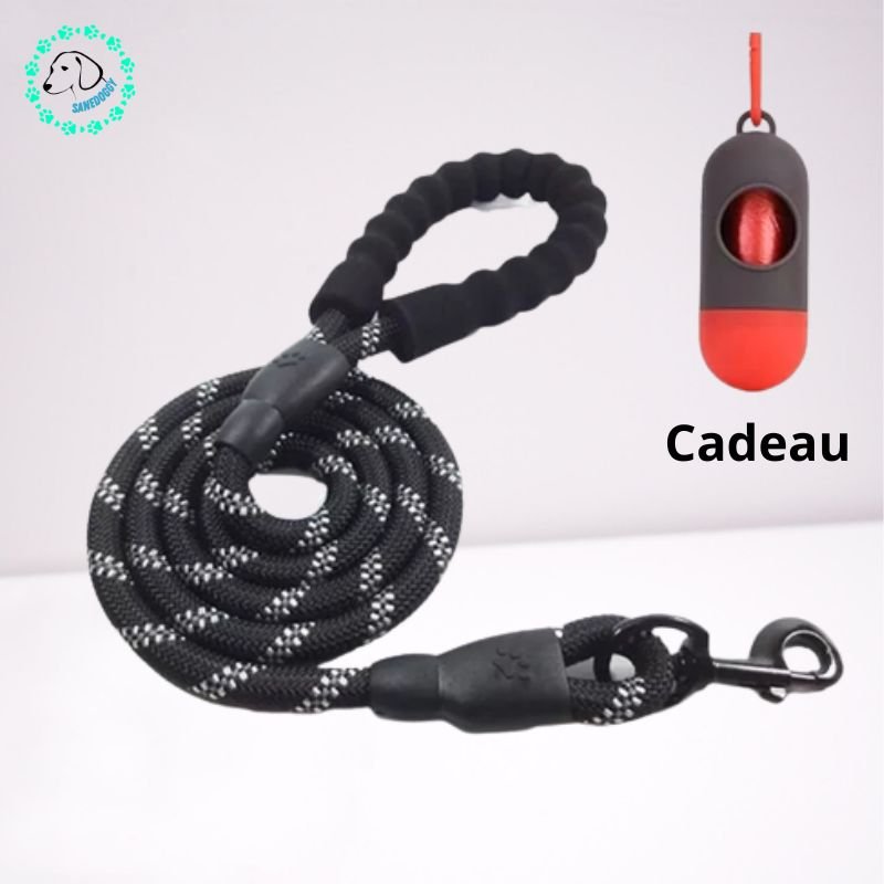 Laisse pour chien - Laissy™ - SaneDoggy