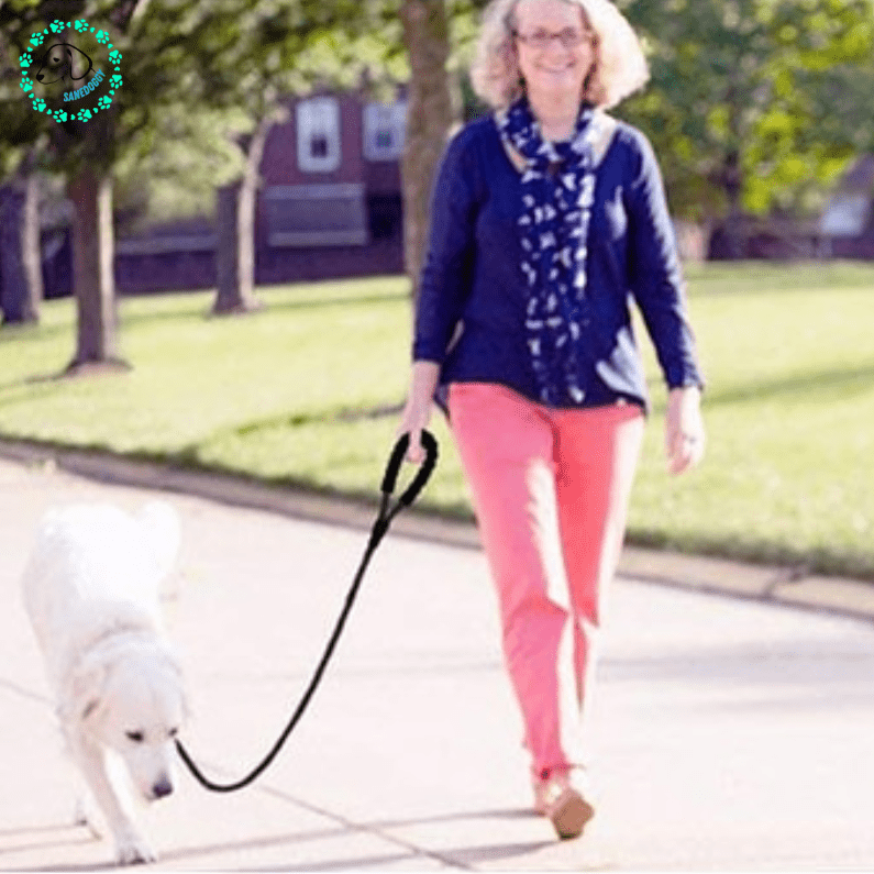 Laisse pour chien - Laissy™ - SaneDoggy