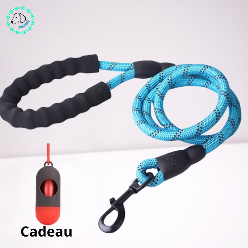 Laisse pour chien - Laissy™ - SaneDoggy