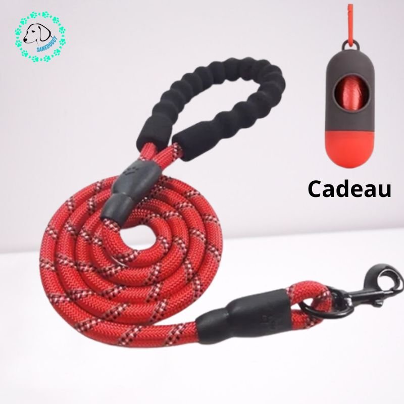 Laisse pour chien - Laissy™ - SaneDoggy