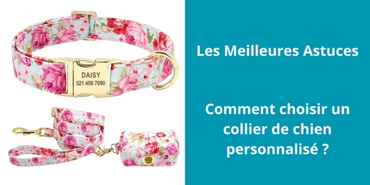 Les avantages de la personnalisation des colliers pour chiens