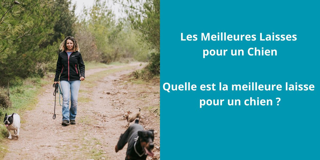 Quelle est la meilleure laisse  pour un chien ?