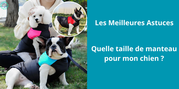 Quelle taille de manteau pour mon chien ?