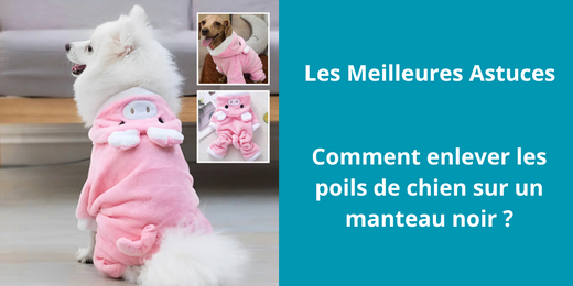 Comment enlever les poils de chien sur un manteau noir ?