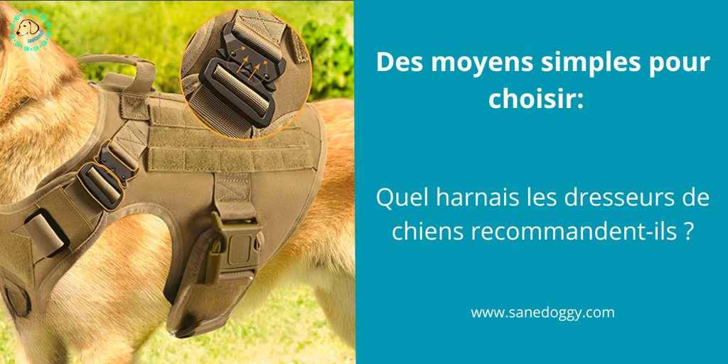 Quel harnais les dresseurs de chiens recommandent-ils ?