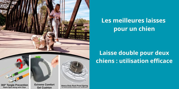 Comment promener deux chiens en même temps ?