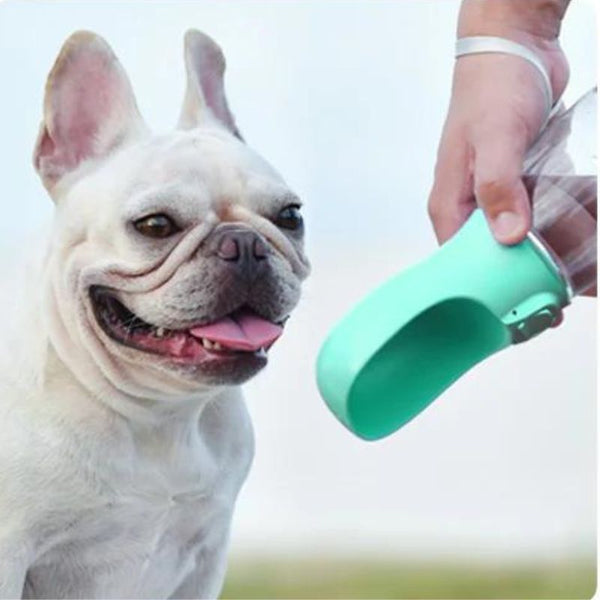 Bouteille d'eau portable pour chiens - Soif™