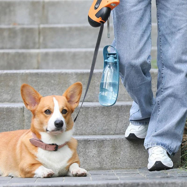 bouteille d'eau portable pour chien I thirst™
