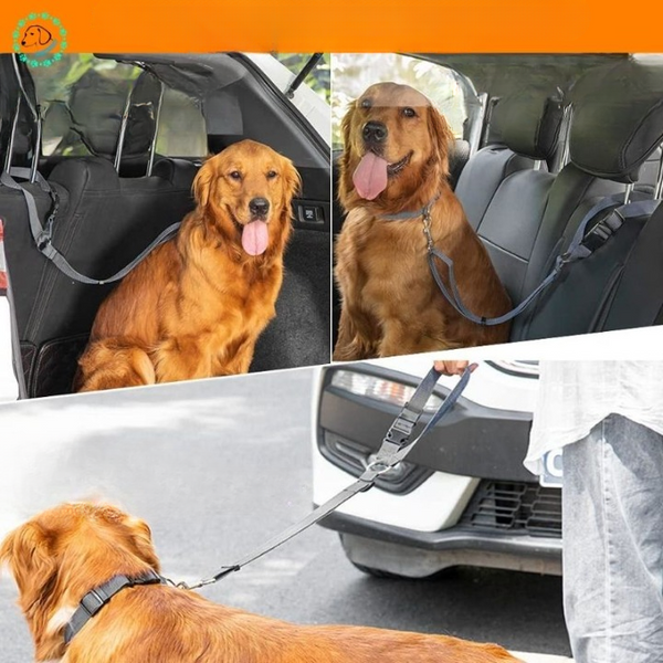  Ceinture-Chien-Voiture-laisse