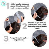 collier anti tique pour chien | Pucy™
