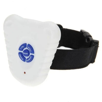 Collier Chien | Sonic™ - SaneDoggy