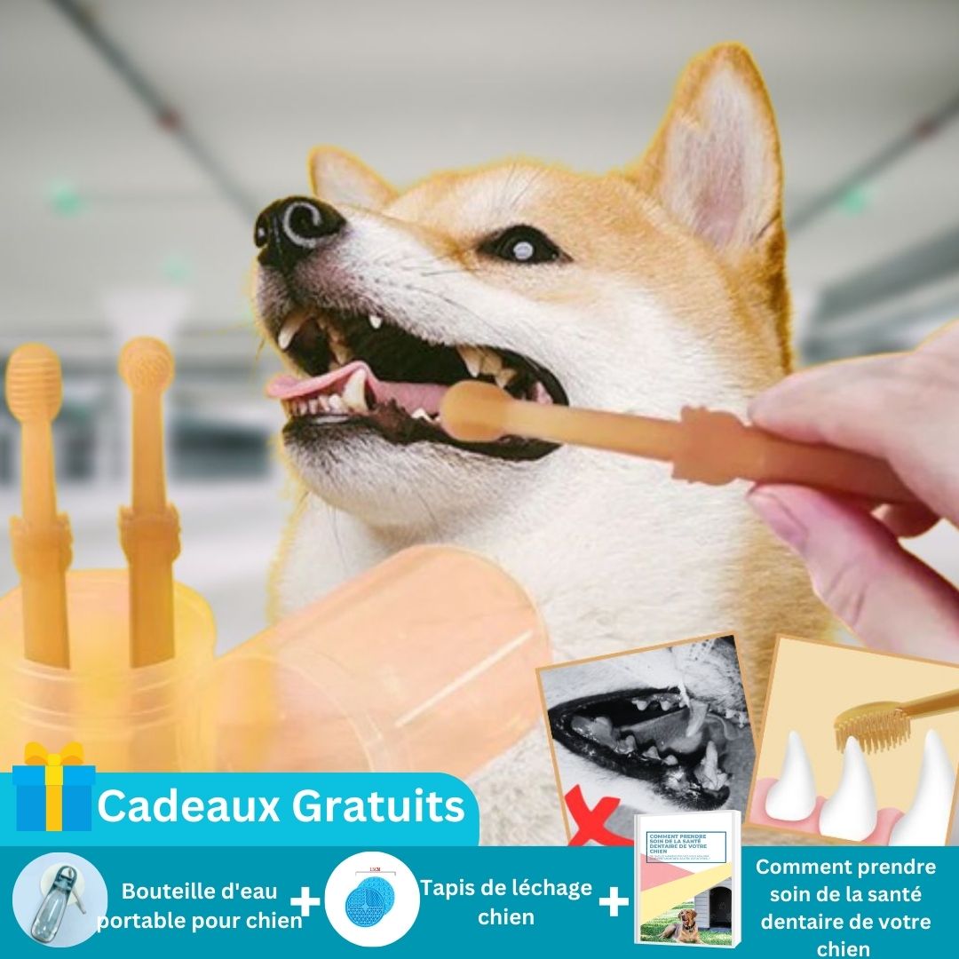 Ensemble de brosses à dents pour chien | Blink™ - SaneDoggy