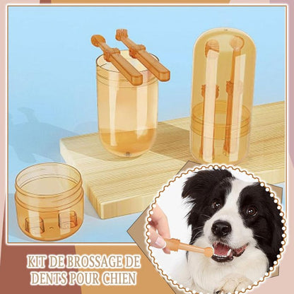 Ensemble de brosses à dents pour chien | Blink™ - SaneDoggy