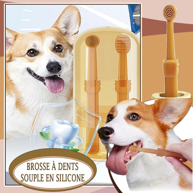 Ensemble de brosses à dents pour chien | Blink™ - SaneDoggy
