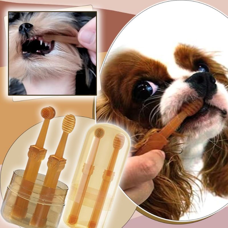 Ensemble de brosses à dents pour chien | Blink™ - SaneDoggy