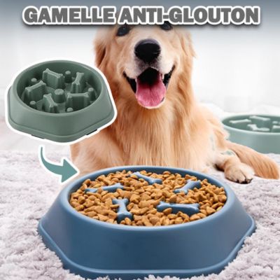 gamelle-pour-chien-anti-glouton