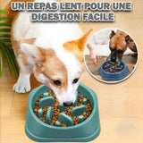 gamelle-pour-chien-anti-glouton