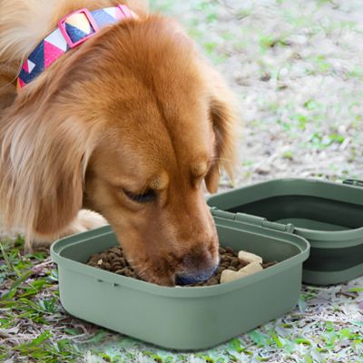 Dog Bowl | Pet Life™ 