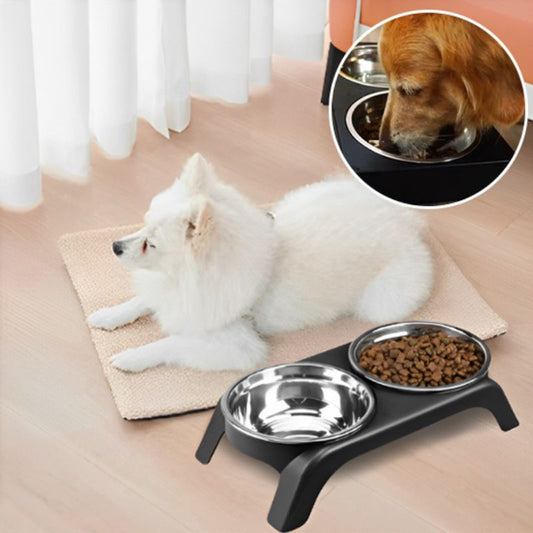 gamelle pour chien |machy™ - SaneDoggy