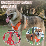 harnais-pour-chien-anti-traction-orange