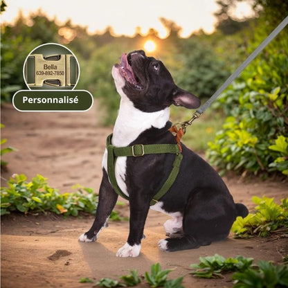 Harnais chien | Bella™ - SaneDoggy