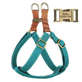 harnais-personnalisé-pour-chien-turquoise