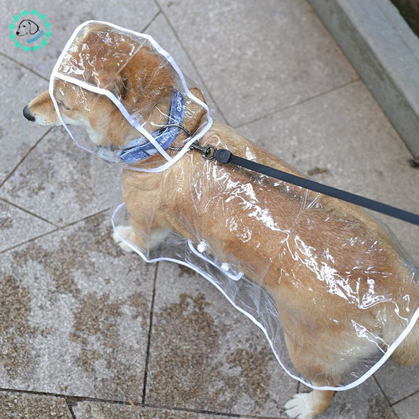 manteau pour chien imperméable | Impy™