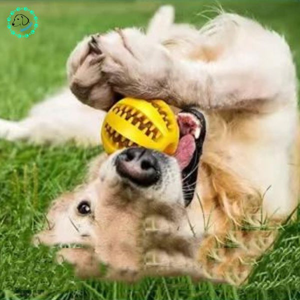 Balle-pour-chien-jaune