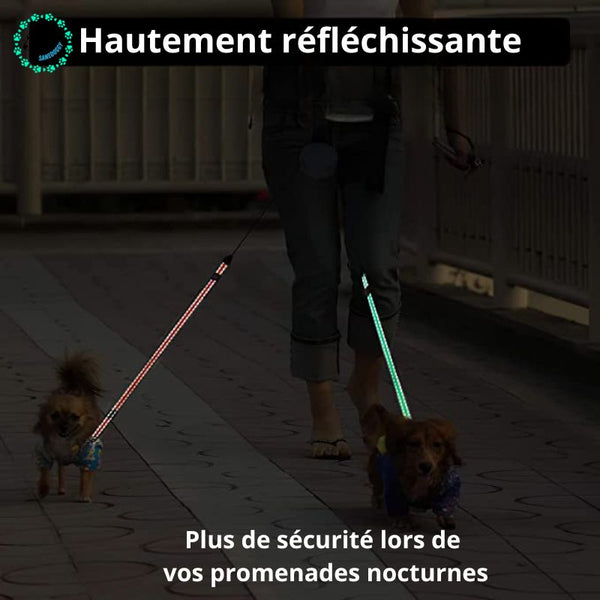 laisse-double-pour-deux-chiens-RÉFLÉCHISSANTE