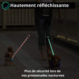 laisse-double-pour-deux-chiens-RÉFLÉCHISSANTE