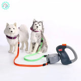 Laisse pour chien | Flex™