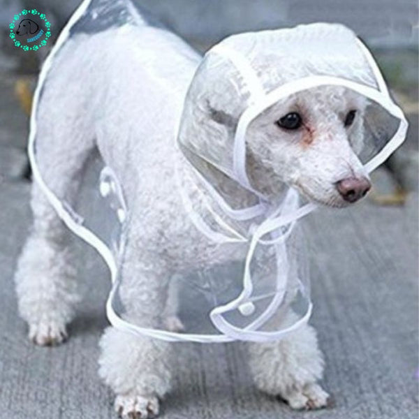 manteau-pour-chien