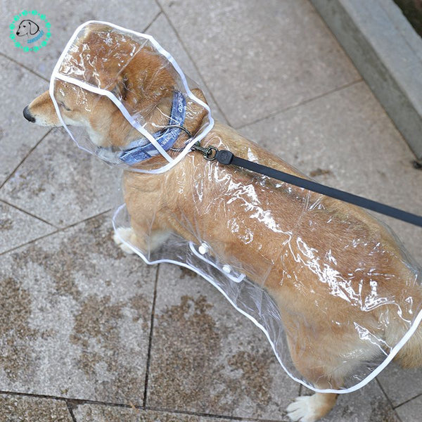 manteau-pour-chien