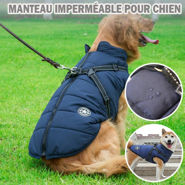 manteau pour chien | Star™