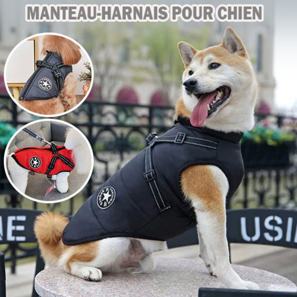 manteau pour chien | Star™