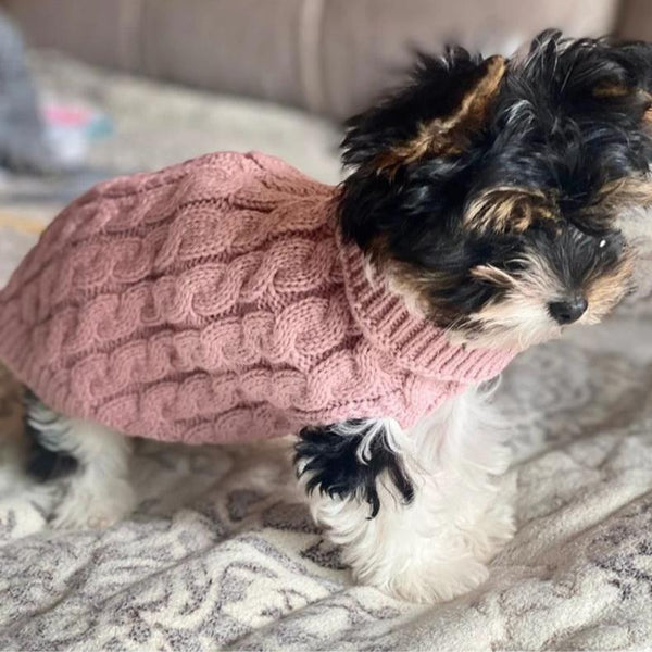 manteau-pour-petit-chien-rose