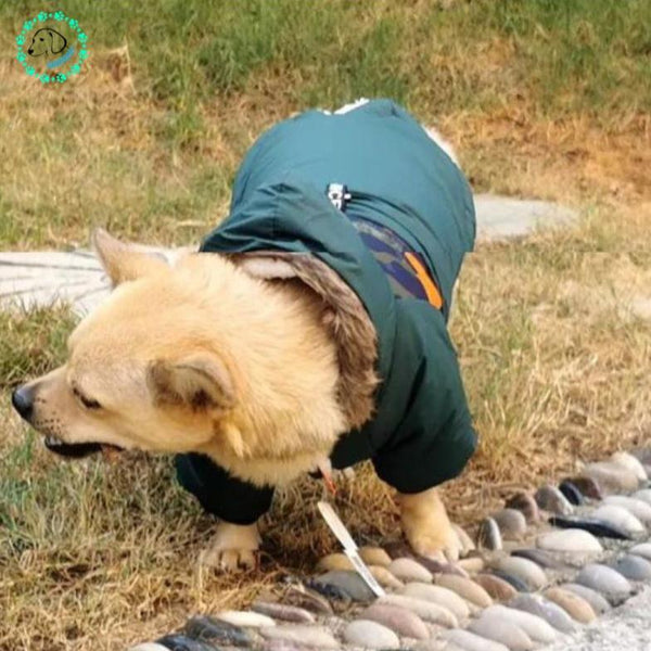 manteau-pour-chien-vert