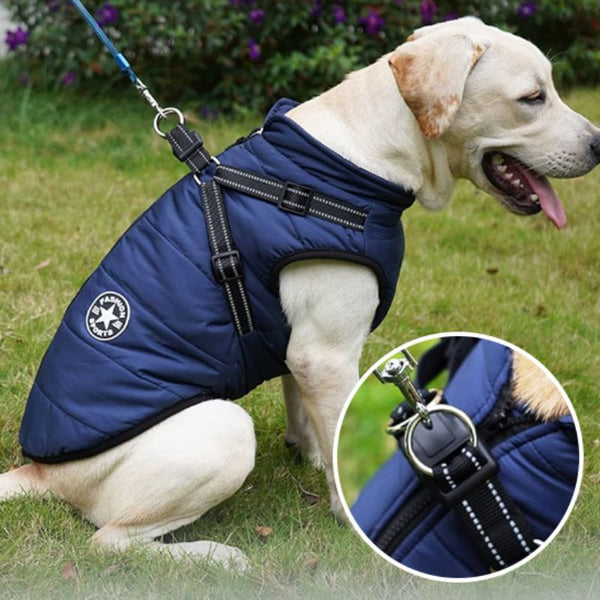 manteau pour chien | Star™