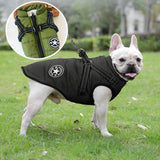 manteau pour chien | Star™